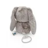 TEX BABY Doudou musical lapin gris mon doudou